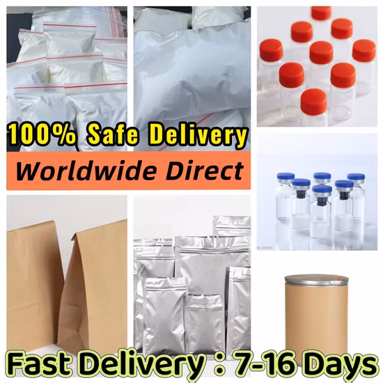 GMP-Zertifikat Factory Supply Intermediate 7